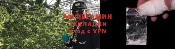 прущие грибы Горнозаводск