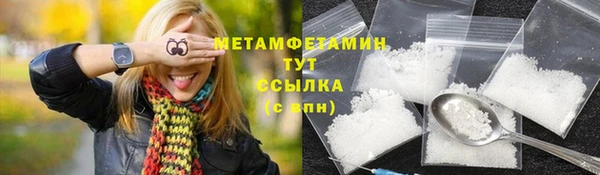 прущие грибы Горнозаводск