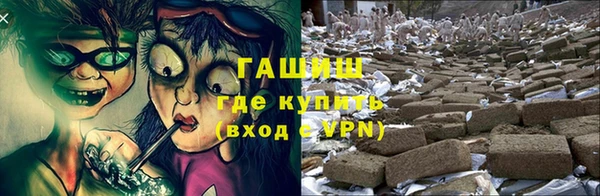 прущие грибы Горнозаводск