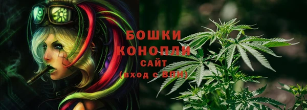 прущие грибы Горнозаводск