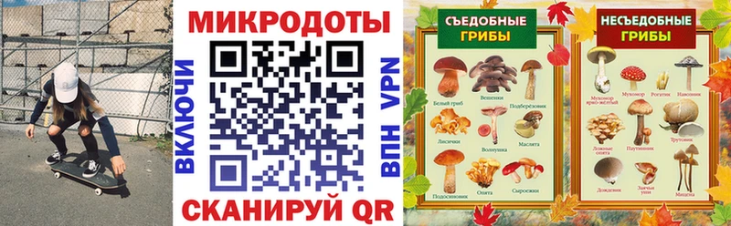 Псилоцибиновые грибы Cubensis  Улан-Удэ 