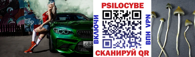 Псилоцибиновые грибы мухоморы Улан-Удэ